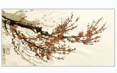 BF12-30x60