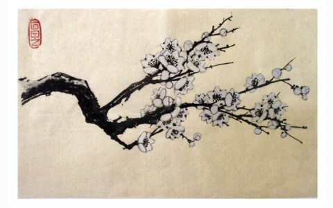 BF20-22x35-fleurs-blanches-sur-papier-murier-bis
